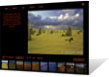 Image of desertsea.com.au - An Online Galleries Portfolio Website