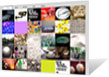 Image of newblack.com.au - An Online Galleries Portfolio Website